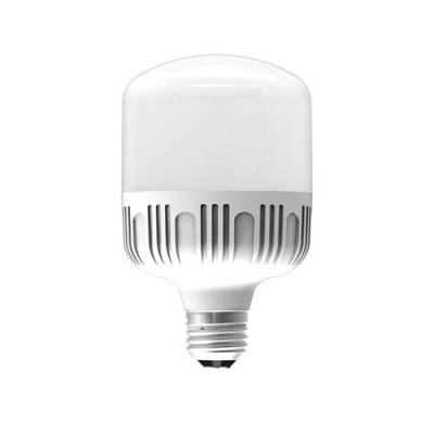 Đèn LED bulb công suất lớn Điện Quang ĐQ LEDBU10 50765AW (50W Daylight, chống ẩm)