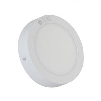 Đèn LED ốp trần (D LN09L 300/24W)-trắng S