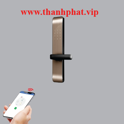 KHÓA CỬA THÔNG MINH MÀU VÀNG DL2