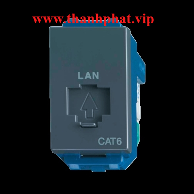 Ổ cắm data WEV24886H-CAT6