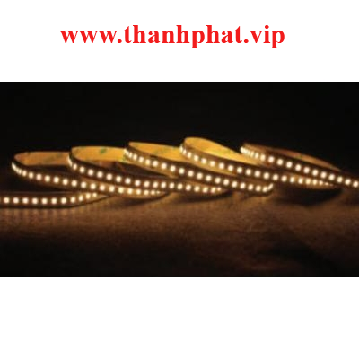 Led dây trong nhà 12w/1m