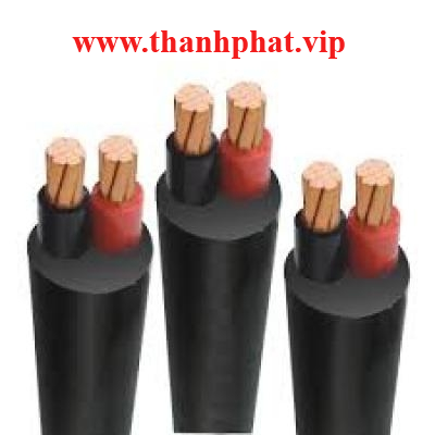 Dây Cáp Điện 2 Lõi Cadivi CVV 2x50